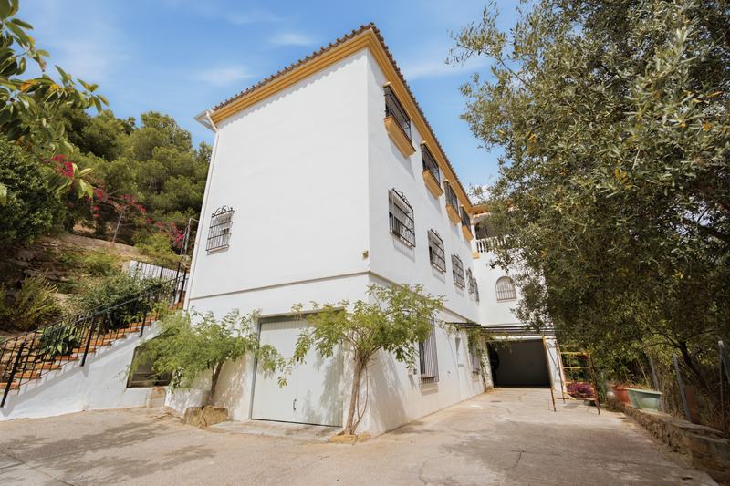 Fachada encalada de tres alturas entre olivos